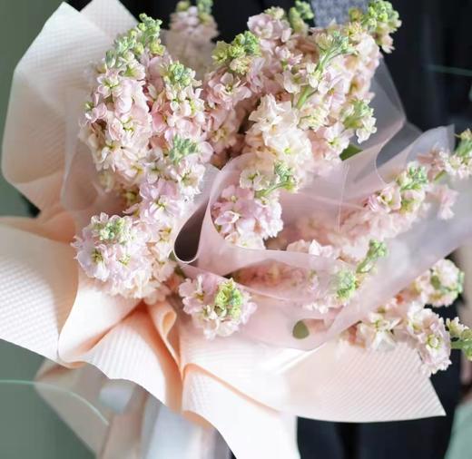 jc基地ss紫罗兰a级香槟色3