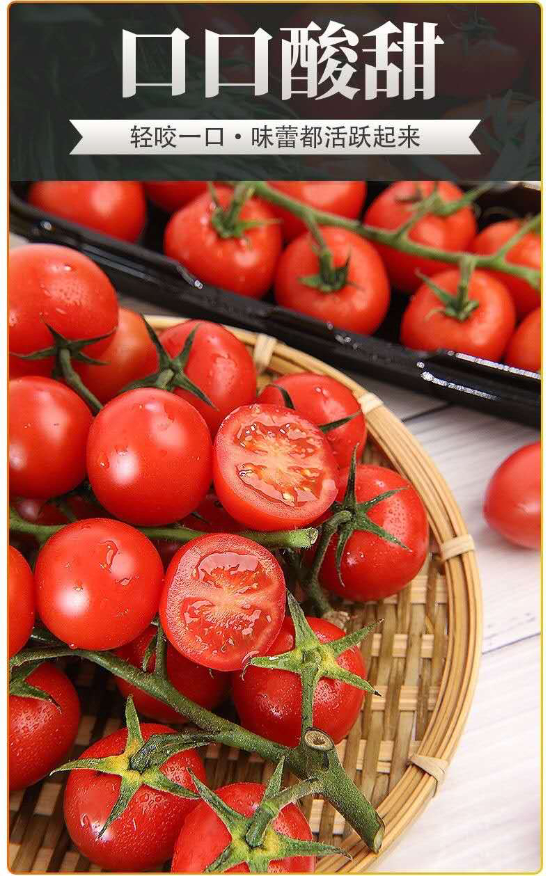串串西红柿一斤28元