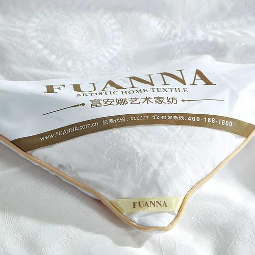 富安娜冬被再生纤维/淳致抗菌大豆冬厚被 商品图1