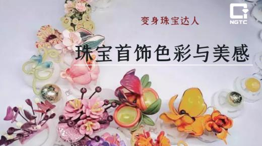 变身珠宝达人 | 现代珠宝首饰色彩与美感 商品图0