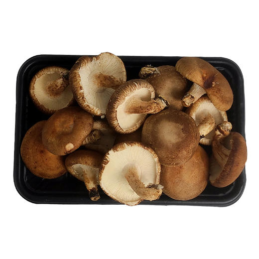 有机蔬菜香菇食用菌125g 京津冀满百包邮 商品图6