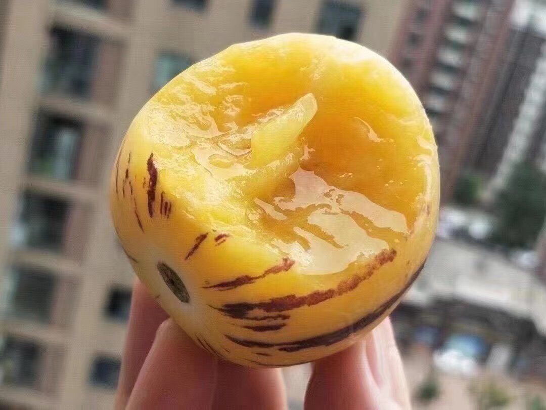 云南✈️人参果，自带奶香味，低糖，爽甜爆汁！