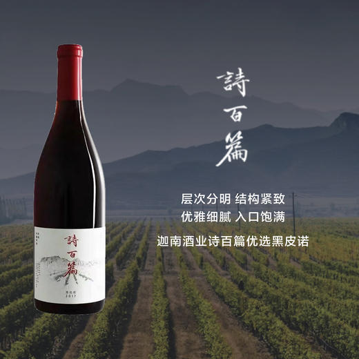 迦南酒业诗百篇优选黑皮诺干红葡萄酒Canaan Chapter and Verse Select Pinot Noir 17/18 商品图0