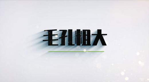 第四节 毛孔粗大的分类以及解决办法 商品图0