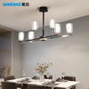 晶致-吊灯（6/12头停产） 商品缩略图0