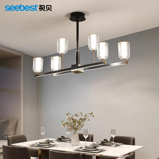 晶致-吊灯（6/12头停产） 商品图0