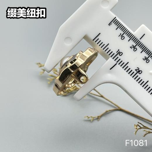 F1081 商品图11