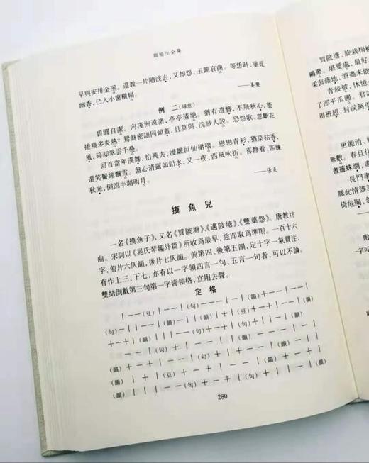 《龙榆生全集》（全九册），32开精装，上海古籍出版，定价598，售价299元。品相95成。 商品图7