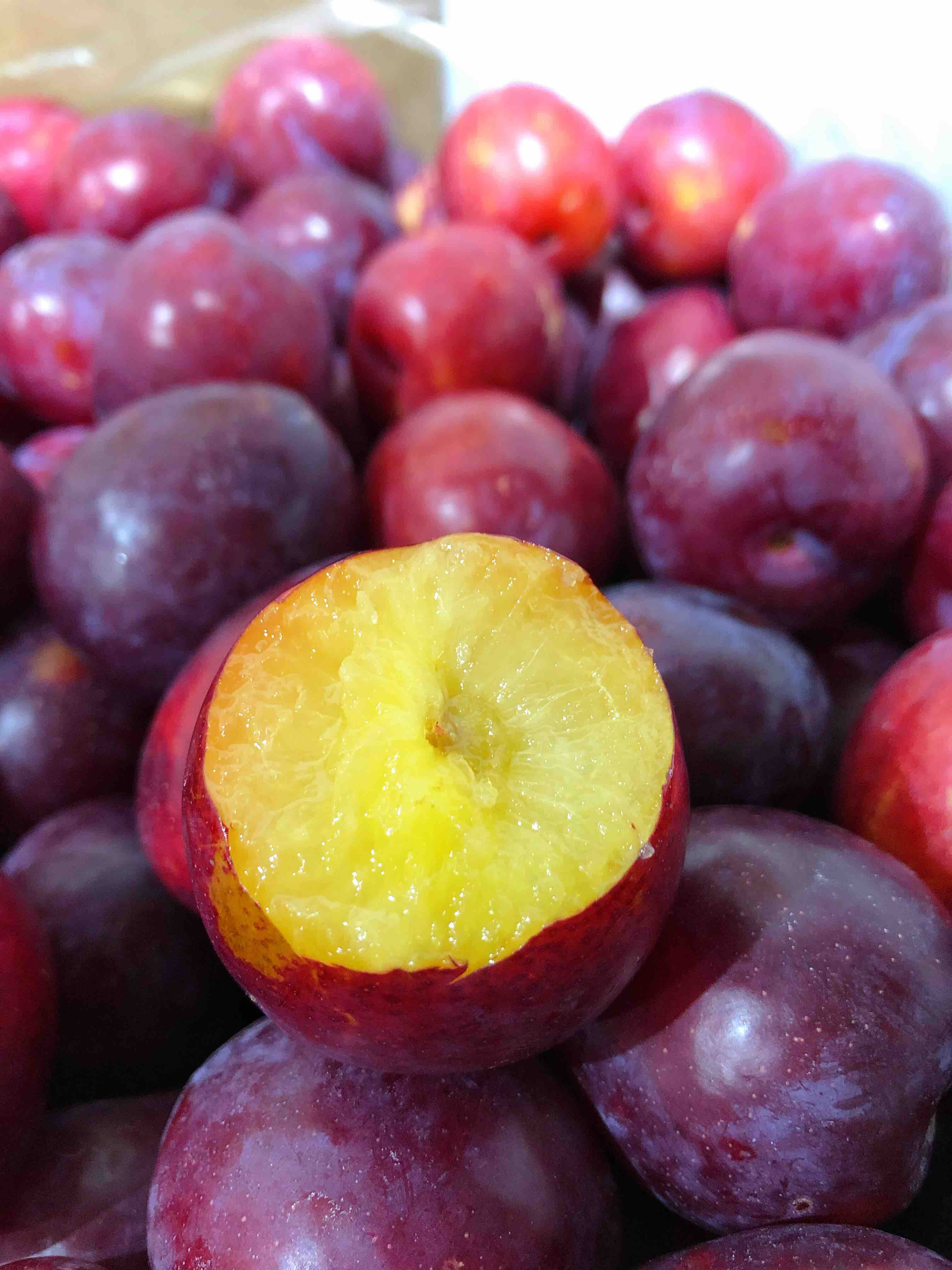 鸡心李智利鸡心李甜脆好吃果肉青黄好吃李子中抗氧化剂含量高的惊人