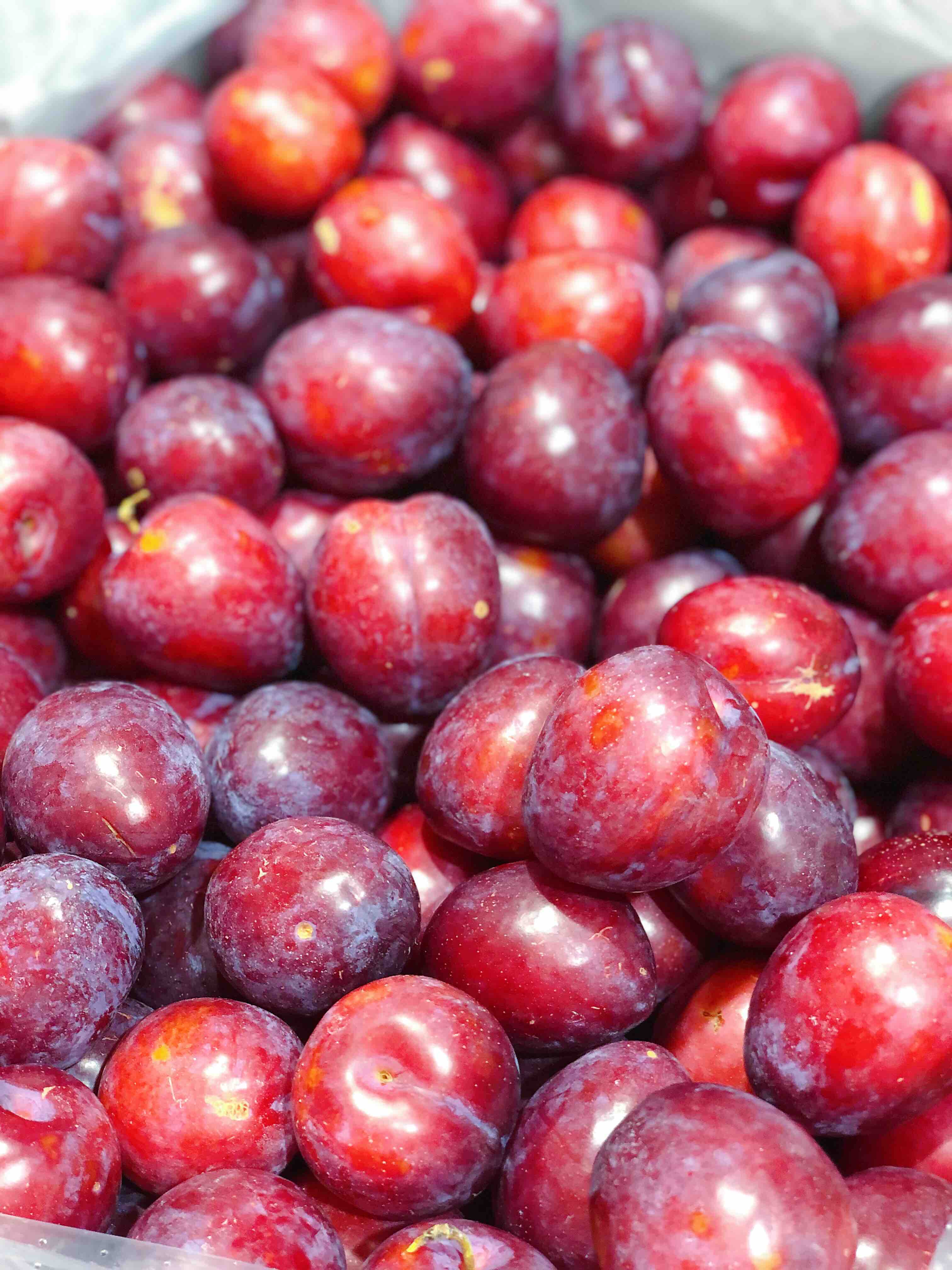 鸡心李智利鸡心李甜脆好吃果肉青黄好吃李子中抗氧化剂含量高的惊人