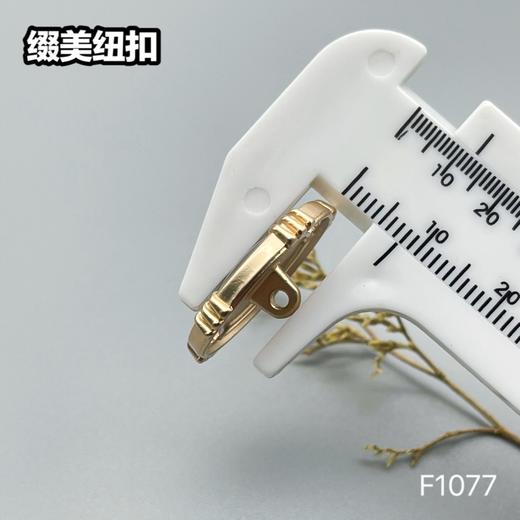 F1077 商品图8