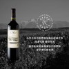 凯洛副牌安第斯源自拉菲罗斯柴尔德红葡萄酒 Petit Caro 2017 商品缩略图0
