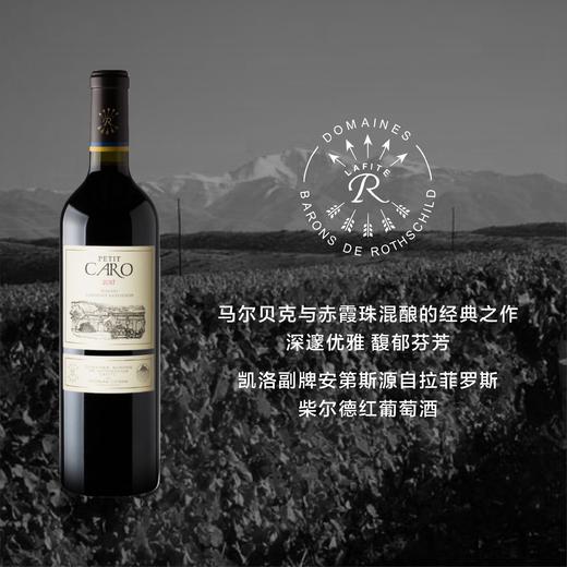 凯洛副牌安第斯源自拉菲罗斯柴尔德红葡萄酒 Petit Caro 2017 商品图0
