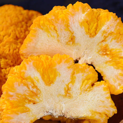 金耳菌中燕窝，来自云南大山里的山珍美味   富含蛋白质 氨基酸   胶质细腻  口感QQ弹弹    适合炖煮 商品图4