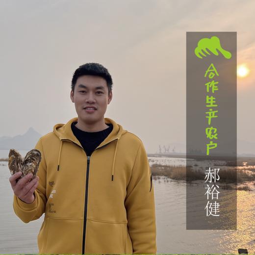 生态生蚝 | 合作生产 *   Ecological oyster | Coproduction 商品图1