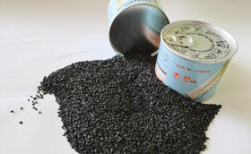 大葱播种在气温多少度进行比较合适