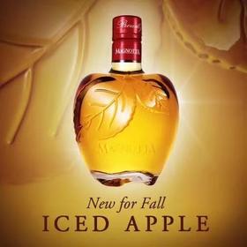 加拿大玛格诺塔冰苹果酒500ml Canada Magnotta Iced Apple