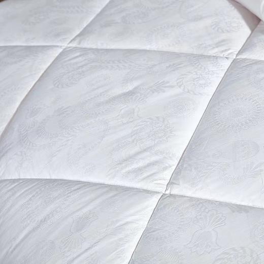 富安娜冬被再生纤维/淳致抗菌大豆冬厚被 商品图2