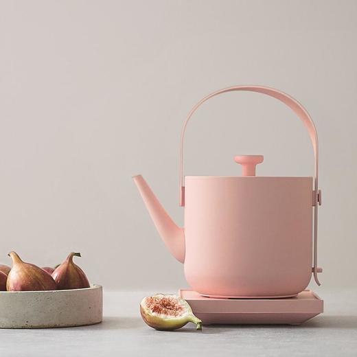 茶素材 T55G汀壶电热水壶 商品图2