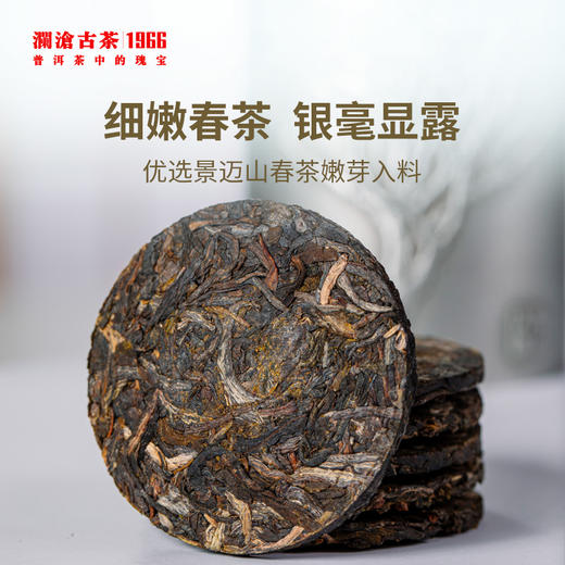 澜沧古茶001锡罐鉴赏装景迈古树普洱生茶生普茶叶小饼84g/盒 商品图2