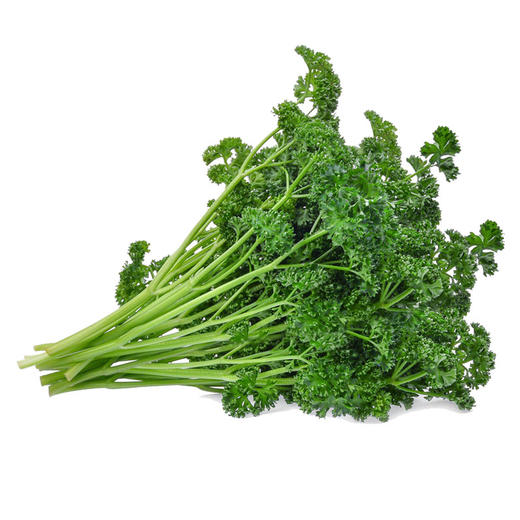 法香欧芹荷兰芹100g 香料西餐装饰沙拉 商品图5