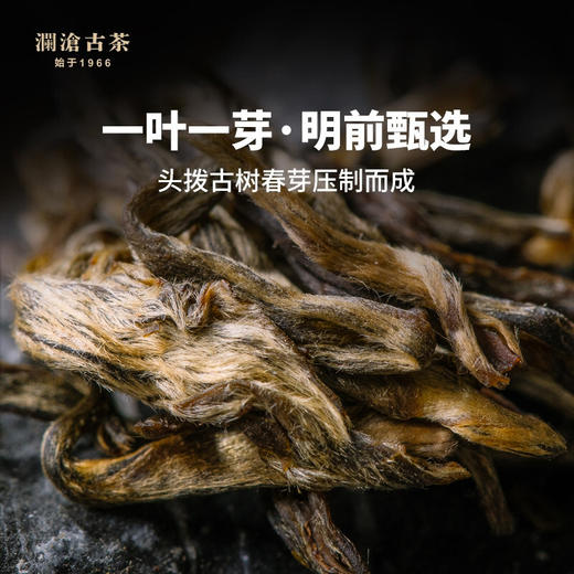 澜沧古茶2021年001大饼普洱茶生茶景迈明前古树春茶400g 商品图1