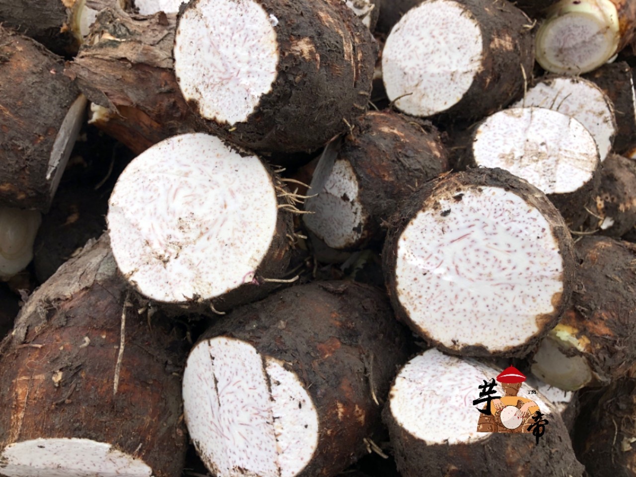【产地直发】荔浦芋头