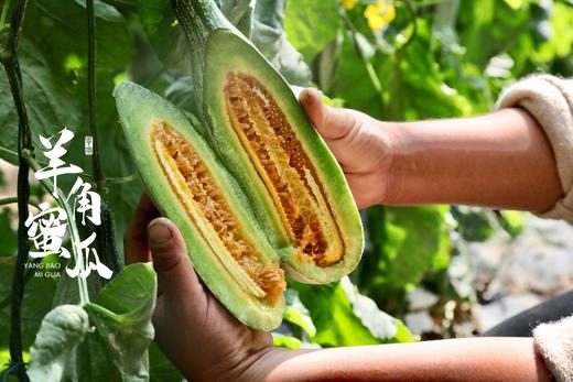 【羊角蜜瓜 48小时发货 4.5斤装】脆甜爽口，甘甜流蜜，皮薄肉脆、香甜多汁 商品图4