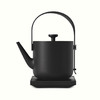 茶素材 T55G汀壶电热水壶 商品缩略图3