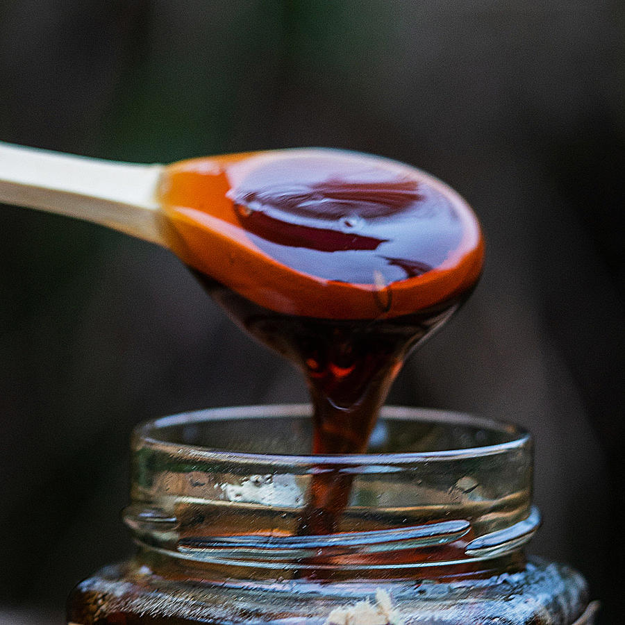 深山里的原生土蜂蜜,稀缺玄参蜜,全省优质奖农家蜜