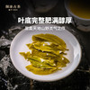 澜沧古茶2021年001大饼普洱茶生茶景迈明前古树春茶400g 商品缩略图3