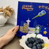 丹东粒装 蓝莓 2盒装 商品缩略图2