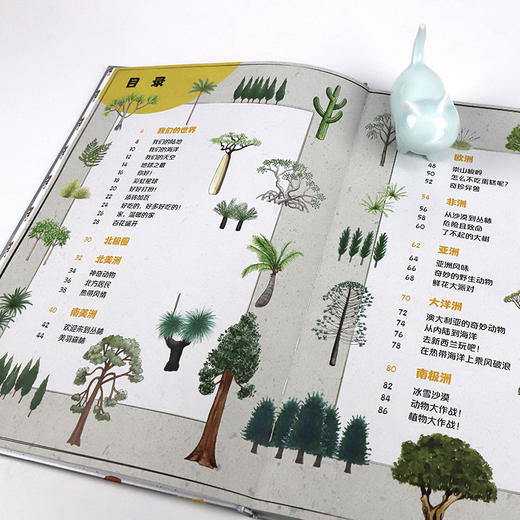 神秘岛 我们的世界-央视科教频道栏目编导常悦老师审定推荐 商品图2