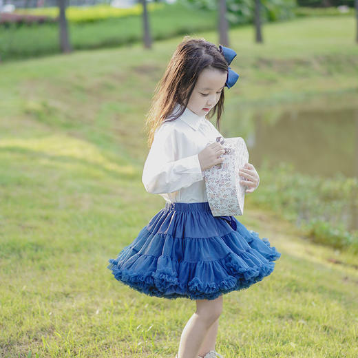   tutu裙秋冬女童蓬蓬裙公主裙宝宝半身裙洋气婴儿网纱裙 商品图2