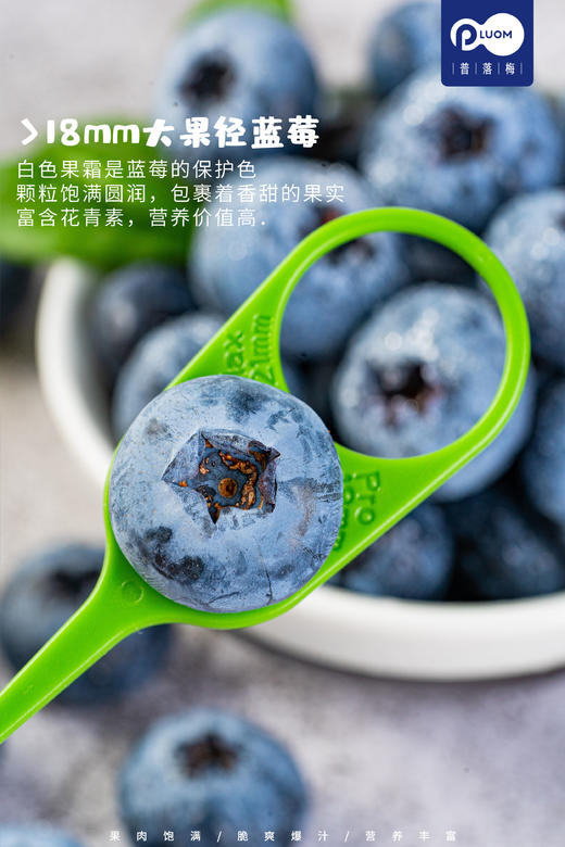 丹东粒装 蓝莓 2盒装 商品图4