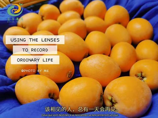 攀枝花枇杷  特级大果 3斤左右 商品图3