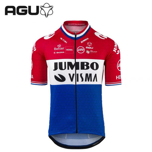 AGU JUMBO-VISMA 珍宝车队罗格利奇斯洛文尼亚国家冠军衫骑行服 商品图3