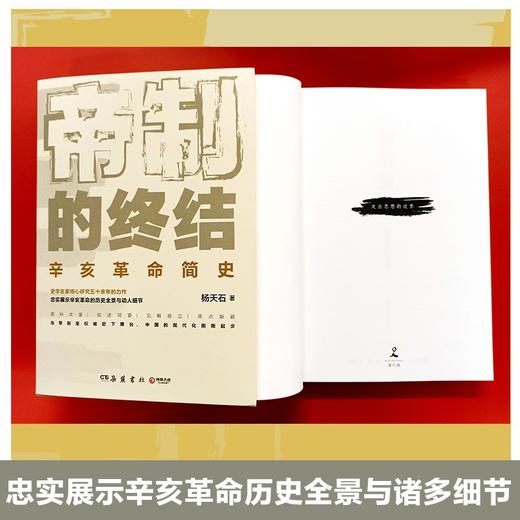 帝制的终结 杨天石 著 中国历史 展示辛亥革命历史全景与诸多细节 武昌起义 同盟会 立宪运动 商品图0