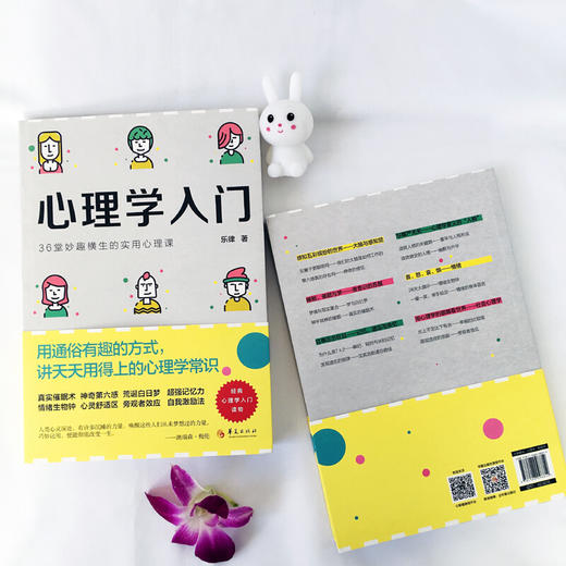 心理学入门  36堂妙趣横生的实用心理课 乐律 著 心理学 商品图1