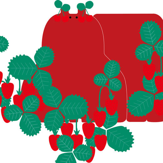 《牙牙学语——宝宝的第一套语言启蒙书》《五彩动物园——宝宝的第一套视觉启蒙书》 商品图10