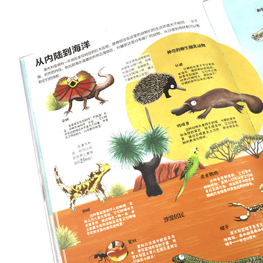 神秘岛 我们的世界-央视科教频道栏目编导常悦老师审定推荐 商品图4