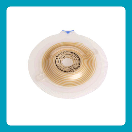 特舒二件式凸面底盘14249/14246/14263/14262造口袋底盘【康乐保官方商城】 商品图3