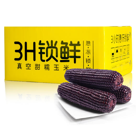 【产地直发包邮】谷苞苞—母婴黑糯玉米10只装 商品图4