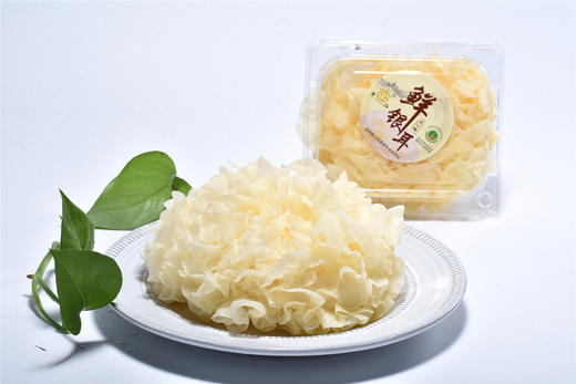 养颜圣品 鲜银耳 无添加 天然有机种植 口感软糯 清香美味 新鲜活银耳 |百里食 商品图3