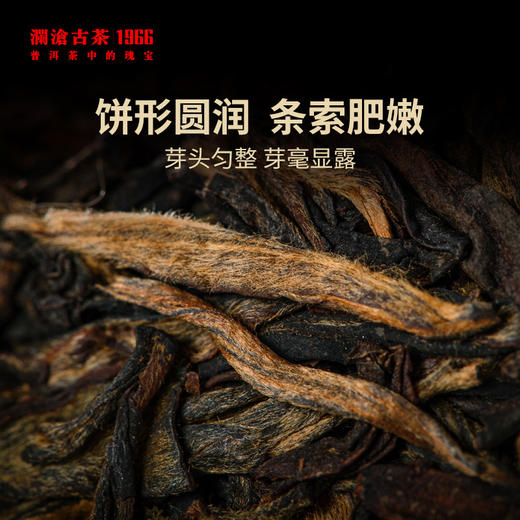 澜沧古茶2022年曼弄孔雀青饼普洱茶生茶380g/片 商品图1