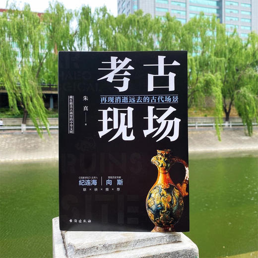 考古现场 再现消逝远去的古代场景 朱真 著 考古学 商品图3