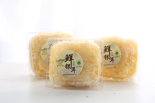 养颜圣品 鲜银耳 无添加 天然有机种植 口感软糯 清香美味 新鲜活银耳 |百里食 商品图2