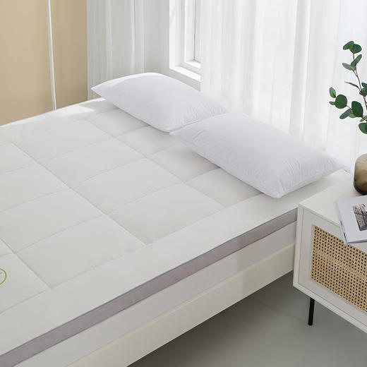 佳丽斯软垫家用冬季加厚榻榻米垫子租房专用垫褥 商品图3