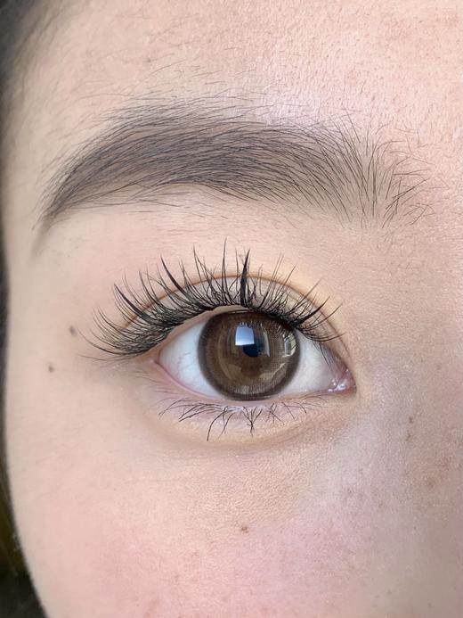 【日抛】西柚奶·Bangcostar丨14.2mm（日抛/一盒10片装） 商品图4