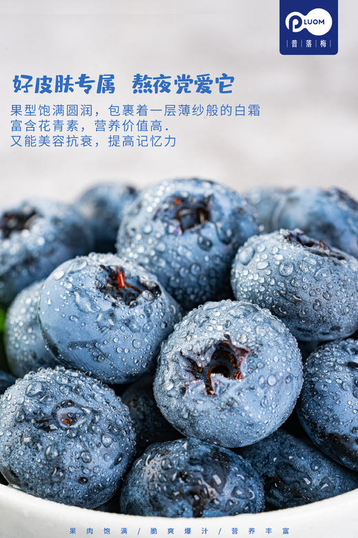 丹东粒装 蓝莓 2盒装 商品图5